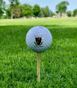 Old Course Sauk Centre Photo Gallery